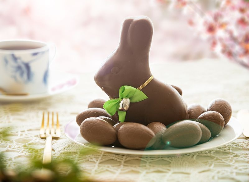 أرنب عيد الفصح الشوكولاته مع بيض الشوكولاته'