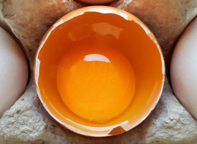 صفار البيض النيء في قشر متصدع في كرتون البيض'