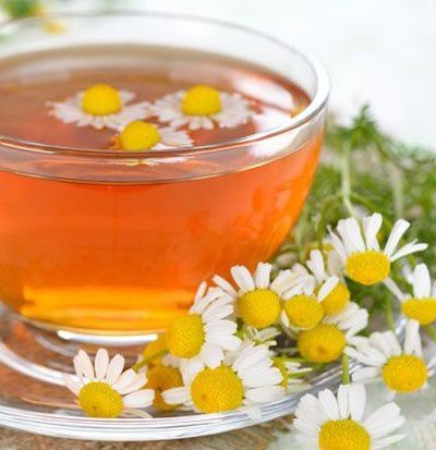 chamomile