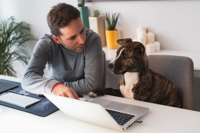   رجل يعمل على جهاز الكمبيوتر الخاص به ، يشرح شيئًا لكلبه ، حديث الطفل